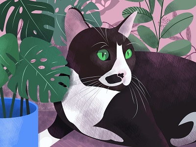 Loki the Cat black white boy cat fluff green eyes home illustraion kitty leaves patten pet portrait pose stare