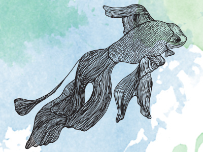 Hello Dribbble fish illustration