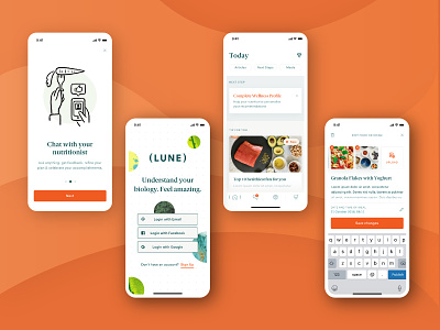 Lune UI brand identity design ui visual language
