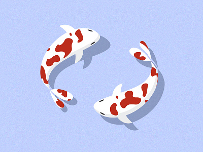 Koi fish illustration koi