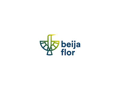 Beija Flor brand design hummingbird logo illustrator logo animal vector