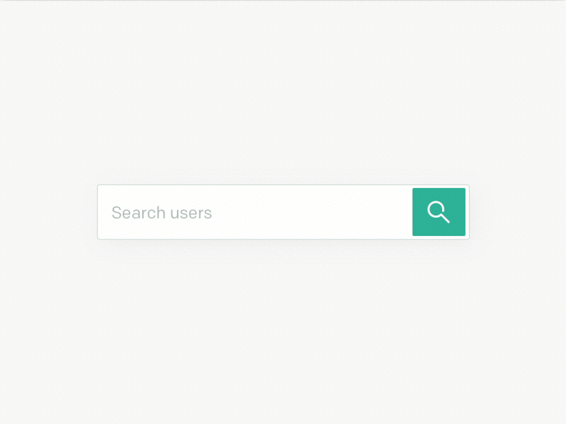 Search Filter Animation