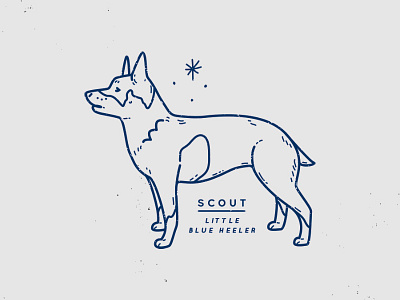 Scout