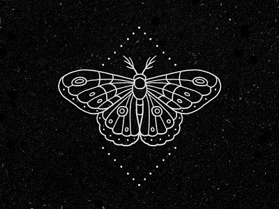 Moth hand drawn illustration line minimal monoline moth