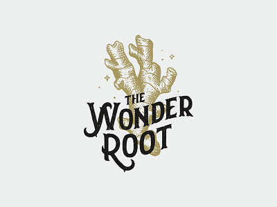 Wonder Root branding engraving ginger hand drawn illustration lettering logo vintage whiskey