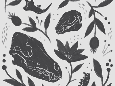 Forest Floor animal coyote floral flower hand drawn illustration pattern rabbit skull