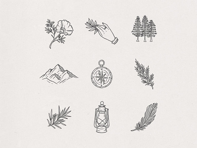 Wanderlust Icons adventure branch compass feather feminine hand drawn icons illustration lantern mountains nature trees