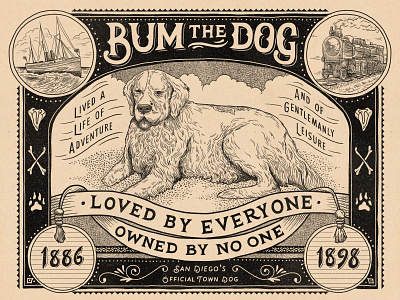 Bum The Dog
