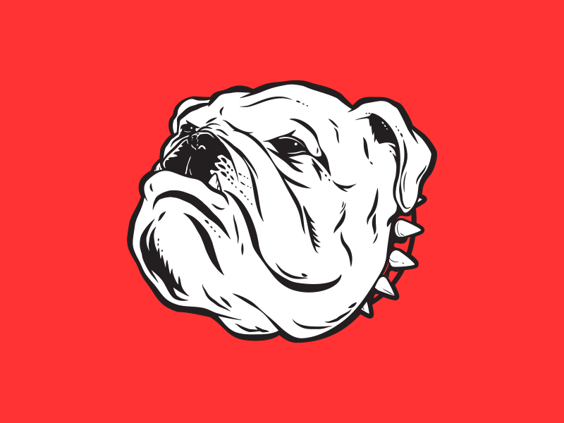 Bulldog Head Mascot teeth red collar spiked tough dog animal profile head mascot bulldog