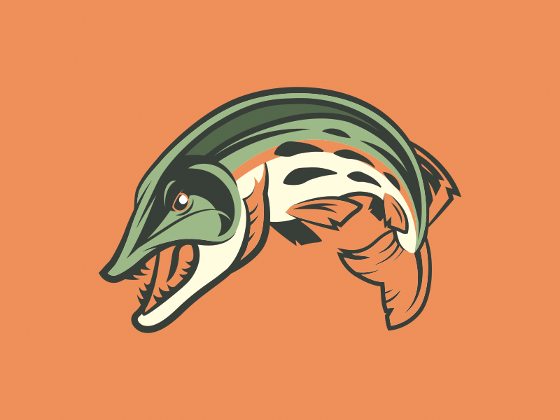 Muskie Mascot arched scales teeth angry mean leaping jumping fish pike northern mascot musky muskie
