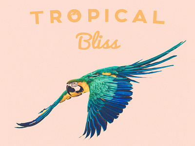 Tropical Bliss Cover album artwork beach chill cover deep house house music summer tropical vibe