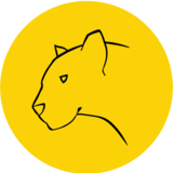 Yellow  Panther 