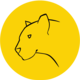 Yellow  Panther 