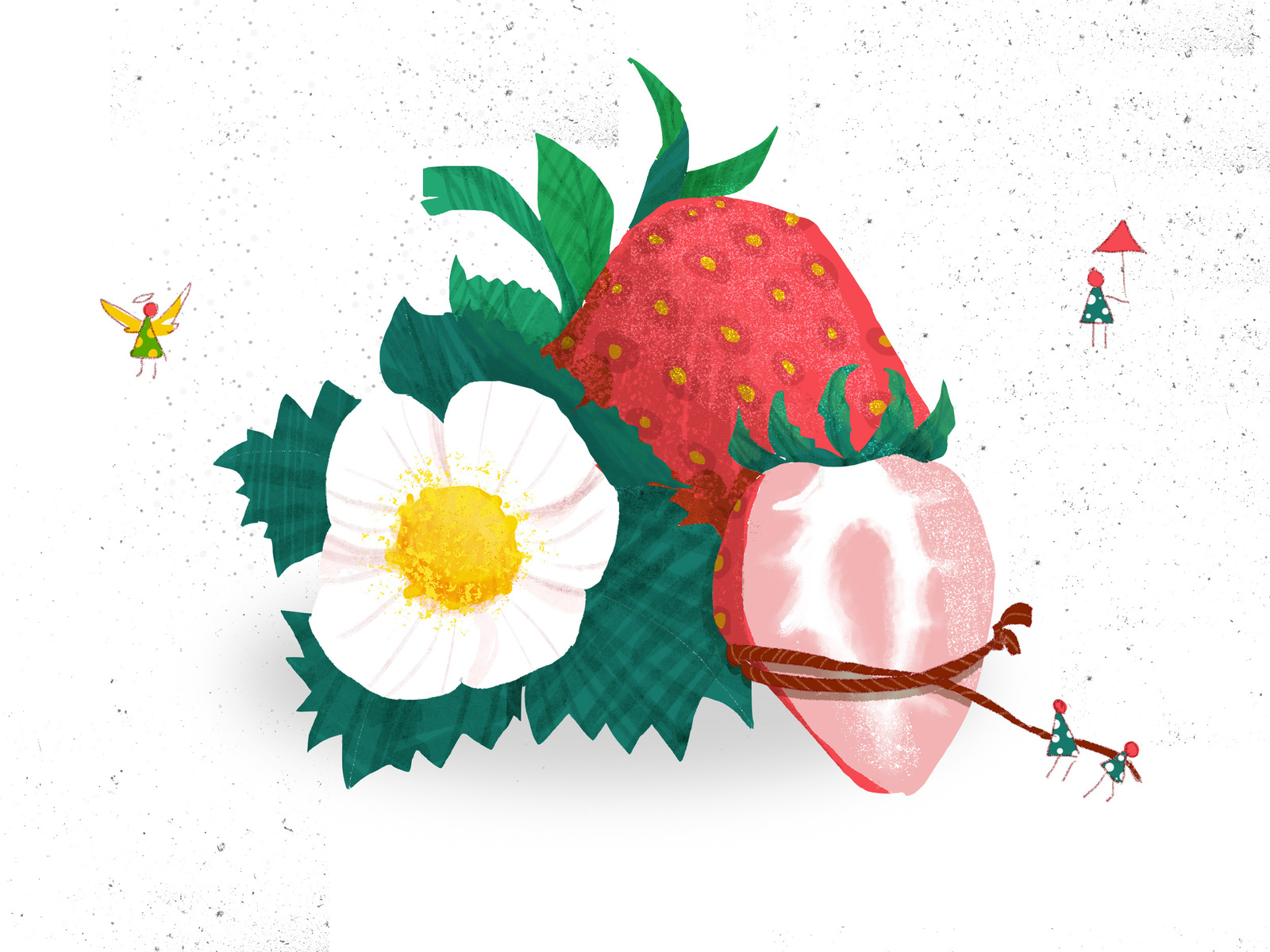 Strawberry by xiao on Dribbble