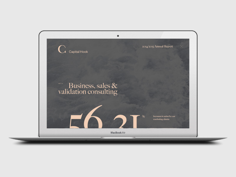 Capital Hook landing page by Sandro Dujmenovic on Dribbble