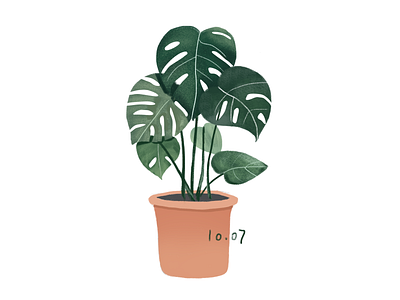 Daily practice_Photoshop_Green plants illustration