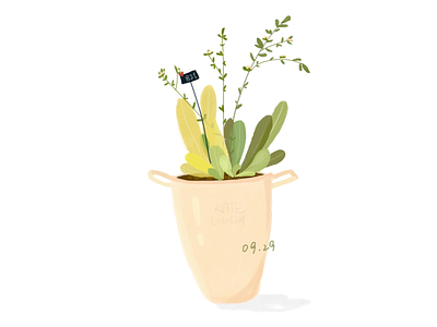 Daily practice_Photoshop_Green plants illustration sketch