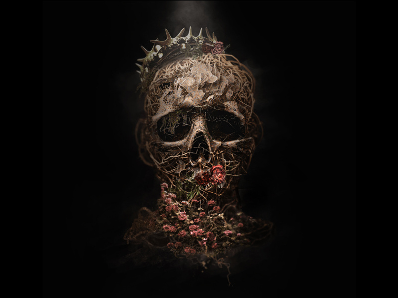 Random Manipulation. Here is a character I made. concept character poster manipulation adobe photoshop