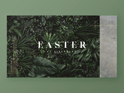 Easter At Lifepoint