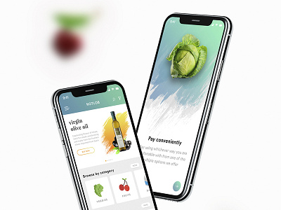 Online Grocery Supermarket App Design