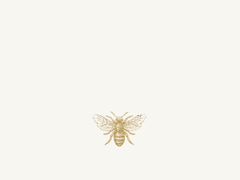 HONIE Bee Logo Design bee gif gold honey honey branding istanbul logo design typography vintage