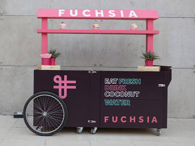 Fucshia Coconut Stand coconut dubai fuchsia pink restaurant restaurant branding stand stand design thai typography
