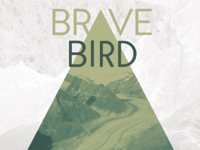 Brave Bird Album Cover album art brandon grotesque full color mountains print design triangle