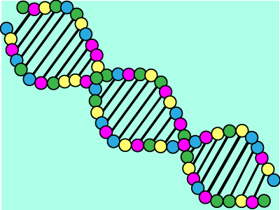 DNA biology cartoon dna graphic illustrator molecule science