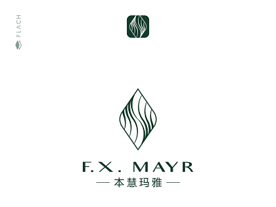 Logo Proposal - F.X. Mayr branding design focus growth health holistic logo logotype mindfulness nature organic well