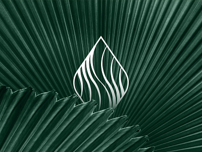 Logo Proposal - F.X. Mayr branding design high end illustration logo nature organic organics