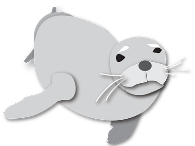 Monk Seal illustration