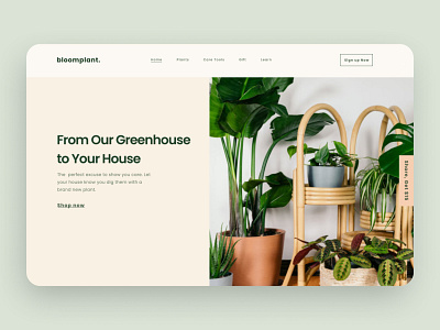 Exploration - Greenhouse Store Company clean design hero hero image hero section homepage illustration landing page design landingpage minimal ui uidesign uiux website