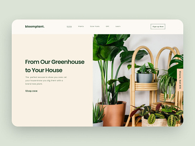 Exploration - Greenhouse Store Company