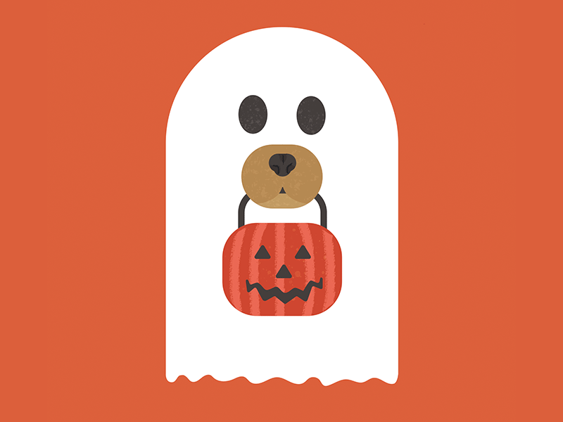 Halloween ghost dog animation costume design dog ghost ghost dog gif graphic halloween halloween design illustration pumpkin