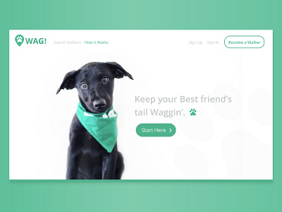 Wag Walking Website dog puppy redesign wag web design website