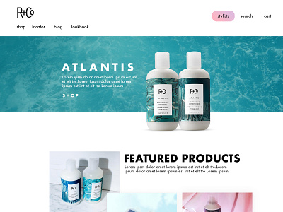 WIP R+Co Redesign hair product webdesign website wip