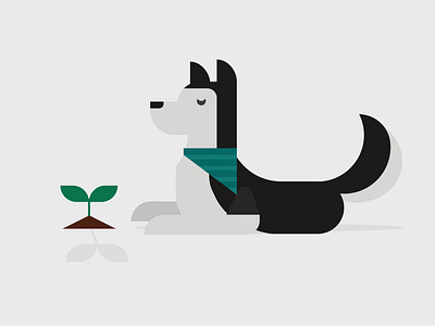 Siberian Husky design dog dog illustration graphic grow husky plant siberian husky
