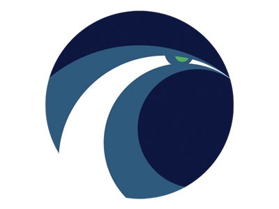 Seattle Seahawks Alt Logo logo nfl seahawks seattle