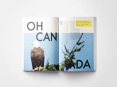 Editorial design brand branding brochure editorial indesign layout minimal modern type typography