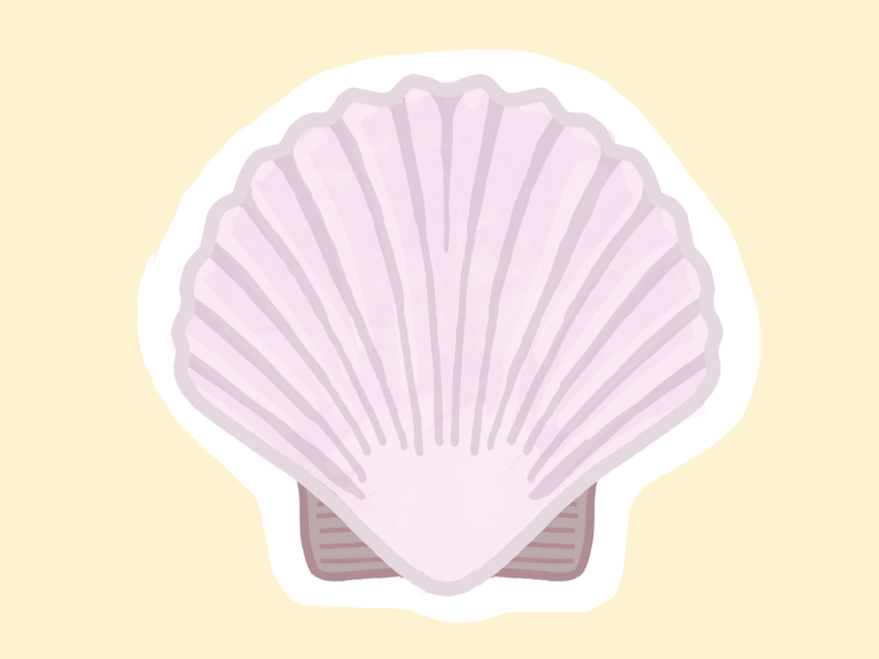 Seashell (12/100 days) procreate 100dayschallenge 100daysproject