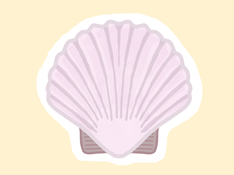 Seashell (12/100 days) by Kathleen on Dribbble