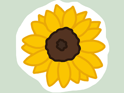 Sunflower (23/100 days) 100dayschallenge 100daysproject illustration procreate