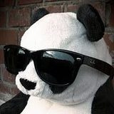 proyectpanda