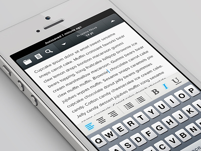 iPhone Text Editor UI