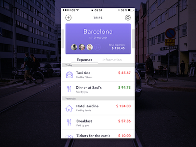 Travel Expense App app design finance ios mobile personal project travel ui