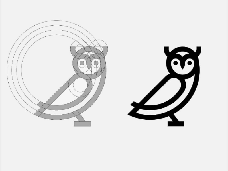 Owl Logo Search By Muzli