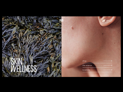 Skin wellness II adobe xd animation branding design minimal motion graphics photography skincare sustainable typography ui