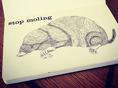 sketchbook mole illustration illustration mole sketchbook