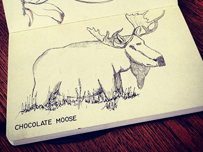 chocolate moose chocolate illustration moose sketchbook