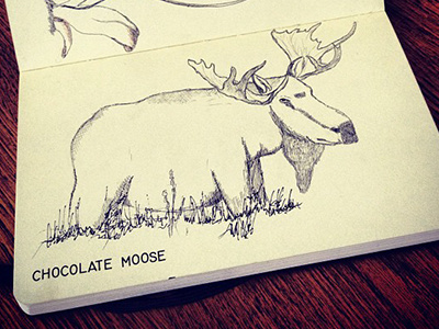 chocolate moose